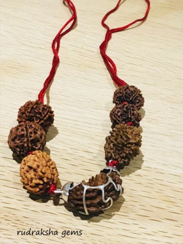 Rudraksh Rudraksha 1 2 3 4 5 6 7 Mukhi Beads Mala Necklace Wrist band bracelet - Rudraksha Mala Neecklace - Genuine Beads in red cord OM