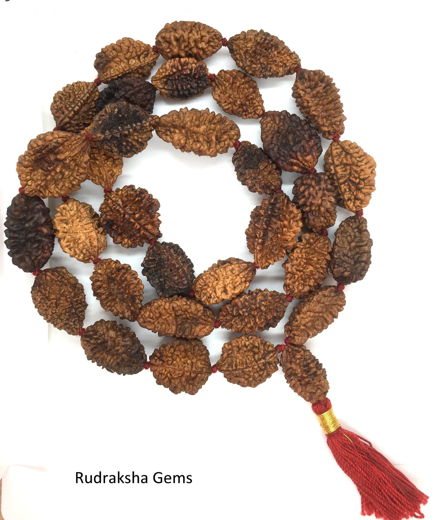2 Mukhi Rudraksha Mala - Two Face Rudraksha Japa Mala - Rudraksha Kantha Mala Necklace 33+1 Rudraksh Japa COLLECTOR BEADS OM - Meditation