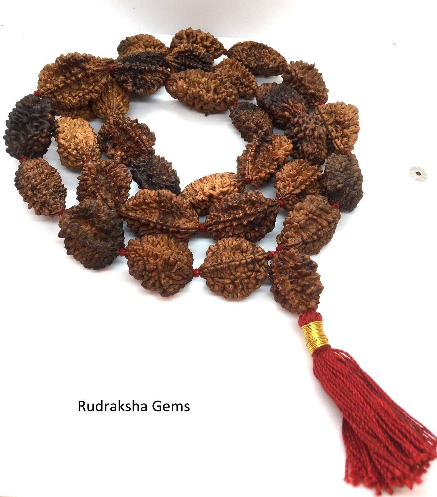 2 Mukhi Rudraksha Mala - Two Face Rudraksha Japa Mala - Rudraksha Kantha Mala Necklace 33+1 Rudraksh Japa COLLECTOR BEADS OM - Meditation