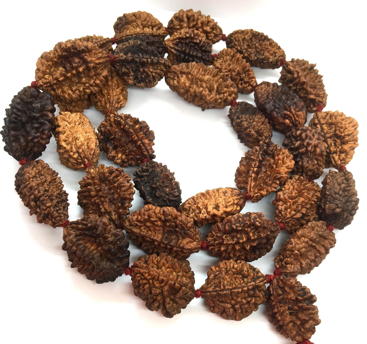 2 Mukhi Rudraksha Mala - Two Face Rudraksha Japa Mala - Rudraksha Kantha Mala Necklace 33+1 Rudraksh Japa COLLECTOR BEADS OM - Meditation