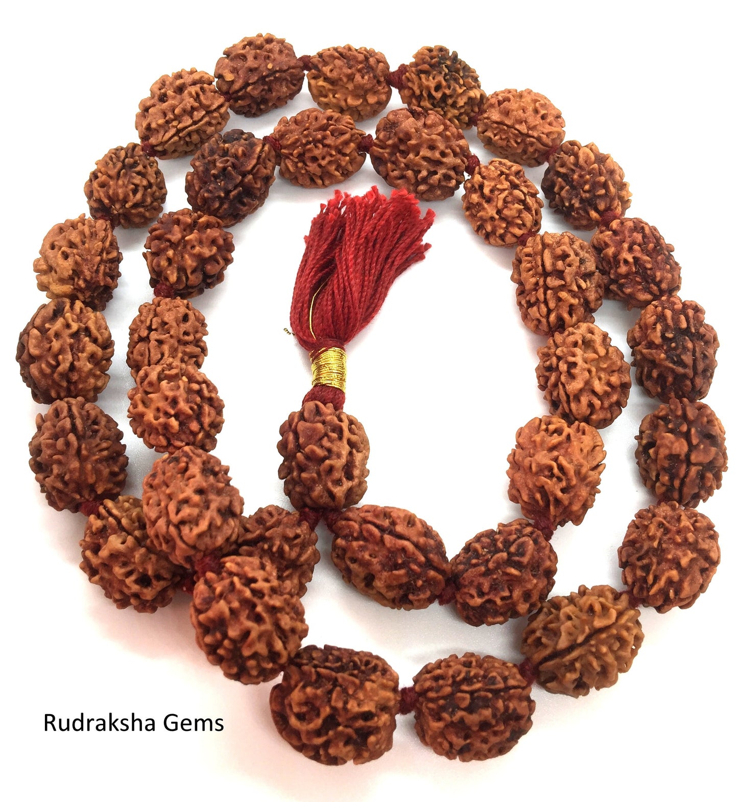 3 Three Mukhi Rudraksha Mala Kantha Surya Agni Siddha Mala 33 +1 Rudraksh Japa Beads - 3 face Rudraksha Mala - Rudraksha Collector Mala
