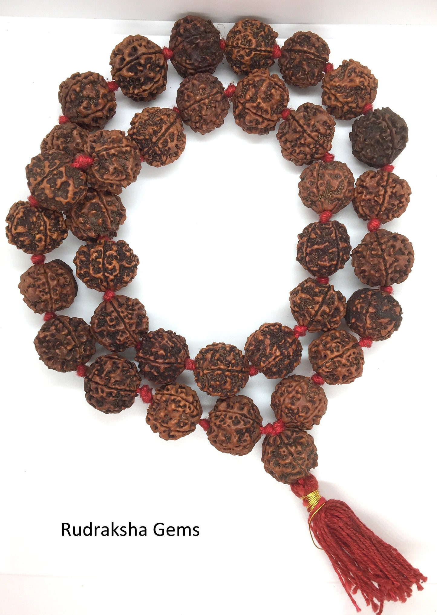 Collector 7 Mukhi Rudraksha Mala, Seven Facet Rudraksha Necklace, Seven Mukhi Rudraksha, 7 Mukhi 33+1 Nepalese Collector Rudrraksh Beads