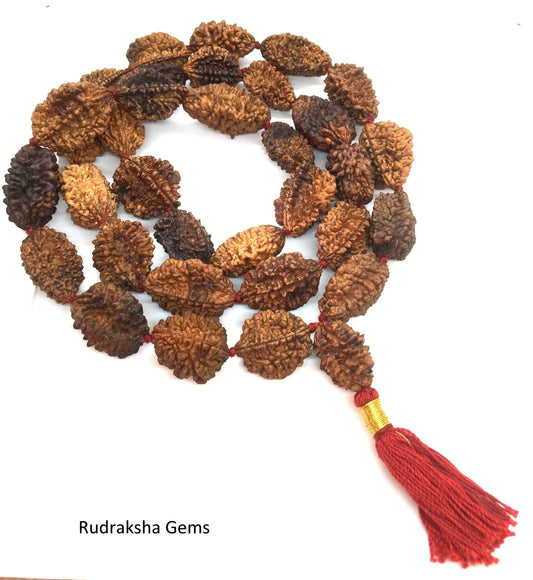 2 Mukhi Rudraksha Mala - Two Face Rudraksha Japa Mala  - Rudraksha Kantha Mala Necklace 33+1 Rudraksh Japa COLLECTOR BEADS OM - Meditation