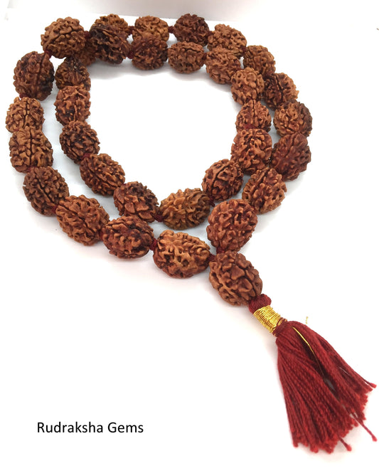 3 Three Mukhi Rudraksha Mala Kantha  Surya Agni Siddha Mala 33 +1 Rudraksh Japa Beads - 3 face Rudraksha Mala - Rudraksha Collector Mala