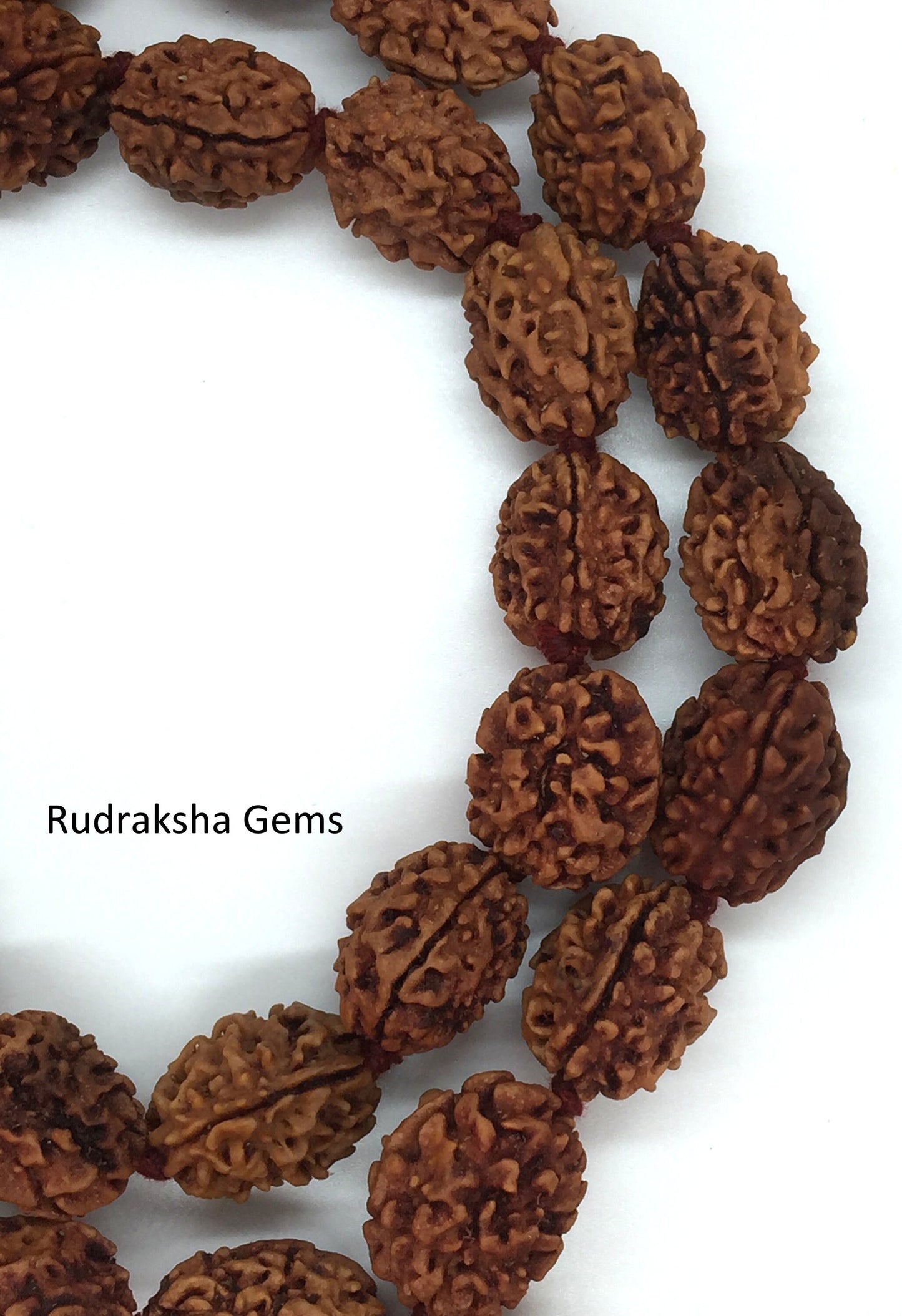3 Three Mukhi Rudraksha Mala Kantha Surya Agni Siddha Mala 33 +1 Rudraksh Japa Beads - 3 face Rudraksha Mala - Rudraksha Collector Mala