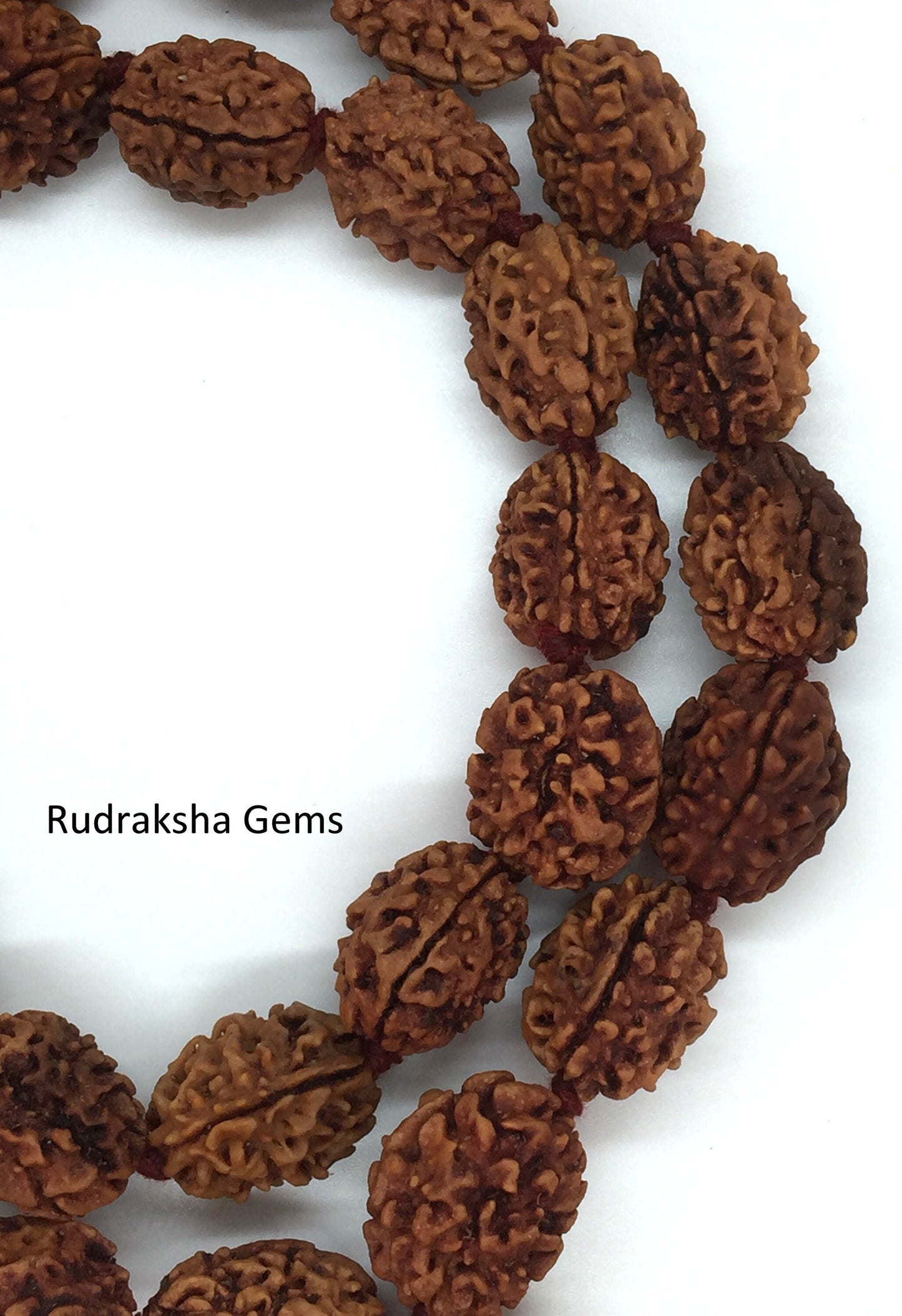 3 Three Mukhi Rudraksha Mala Kantha  Surya Agni Siddha Mala 33 +1 Rudraksh Japa Beads - 3 face Rudraksha Mala - Rudraksha Collector Mala