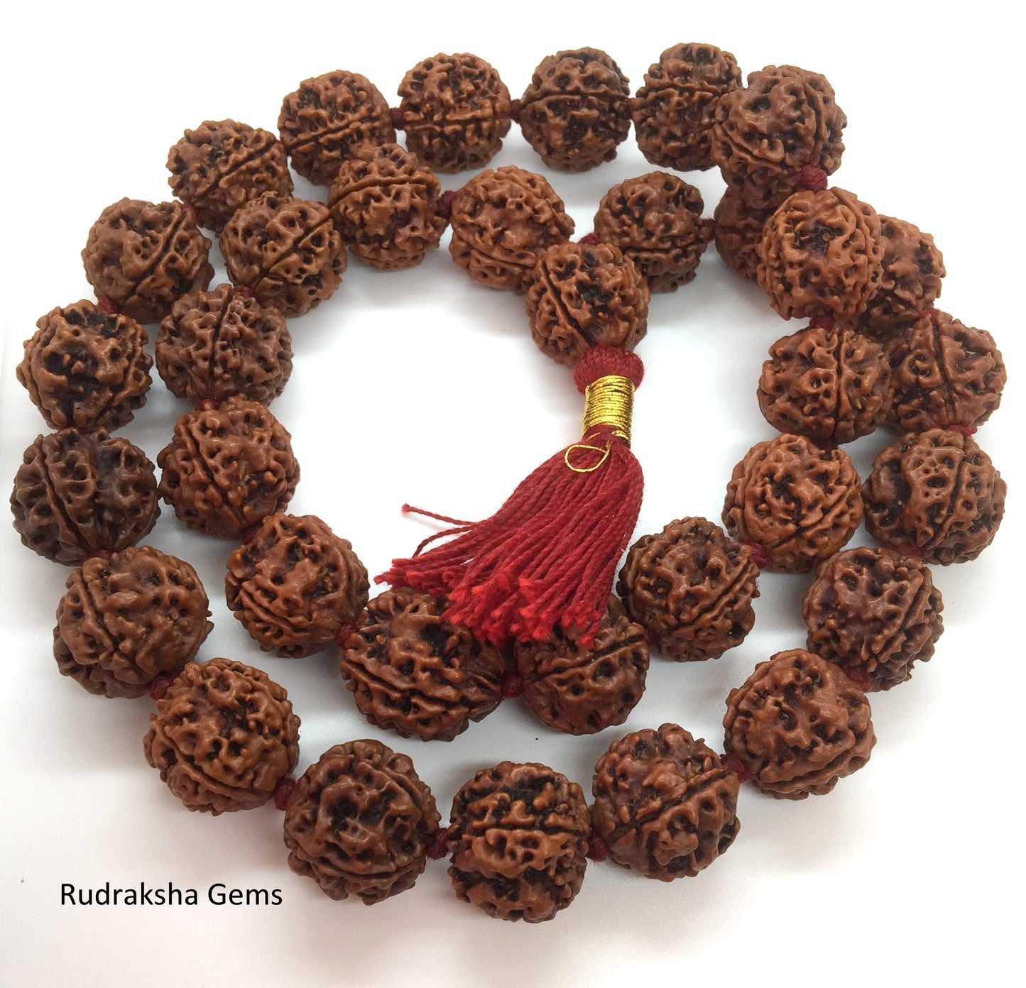 4 FOUR Mukhi Rudraksha Mala Brahma Kantha Siddha Mala 33+1 Collector Nepalese Beads - 4 Face Rudraksha Mala - Premium Rare Rudraksha Beads
