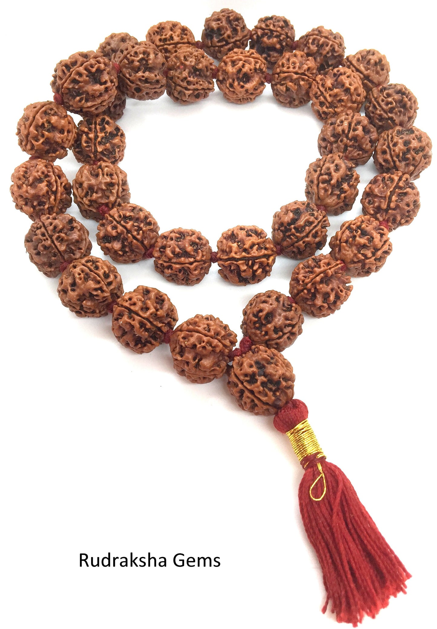 4 FOUR Mukhi Rudraksha Mala Brahma Kantha Siddha Mala 33+1 Collector Nepalese Beads - 4 Face Rudraksha Mala - Premium Rare Rudraksha Beads