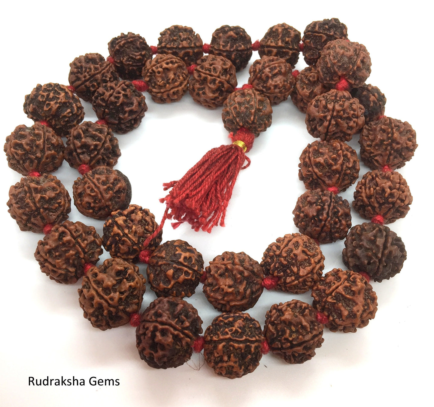 5 Facet Five Mukhi Rudraksha Mala - Kantha Jupiter Siddha Mala 33+1 Nepalese Collector Rudrraksh Japa Beads - Meditation Shiva Rosary Rare