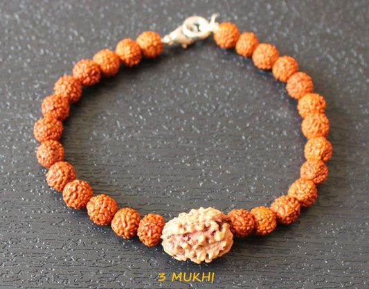 3 mukhi Rudraksha Bracelet, 3 face Rudraksha Bracelet, Genuine Rudraksha Beads, Custom size available, Three Face Shiva Rudraksh, Spiritual