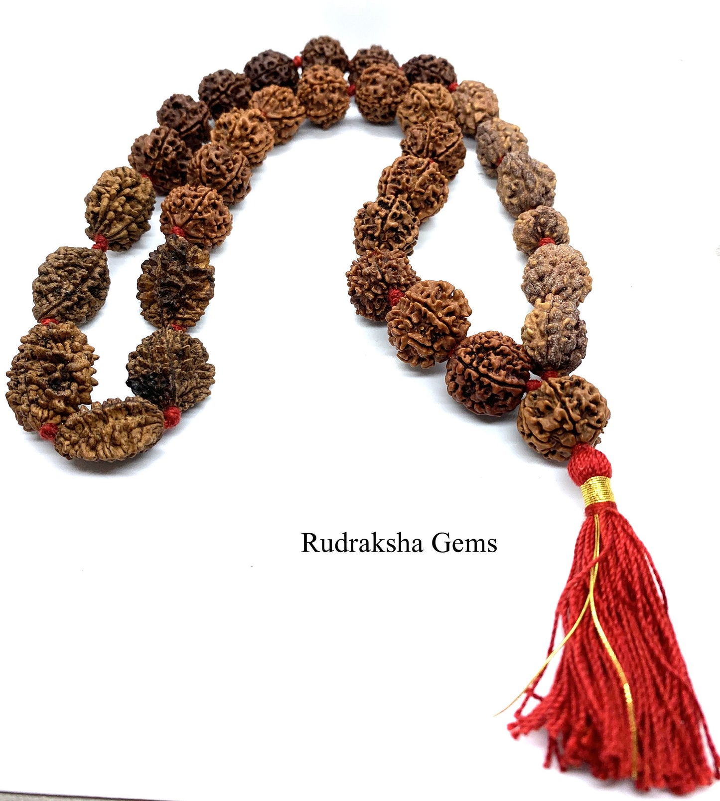 Rudraksh Rudraksha 2 3 4 5 6 Mukhi 32 + 1 Beads Mala Necklace - Rudraksha Mala Neecklace - Genuine Beads - Premium Thick Long Tassel Mala