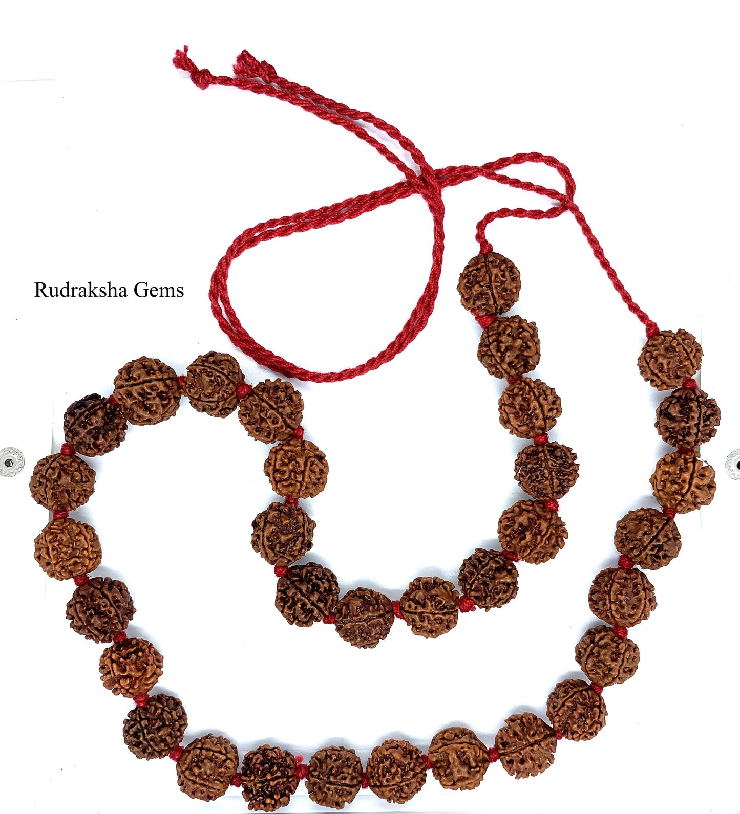 5 Facet Five Mukhi Rudraksha Necklace - 33 Collector Nepalese beads knotted adjustable open ends - Rudraksha Mala OM Meditation Shiva Rosary