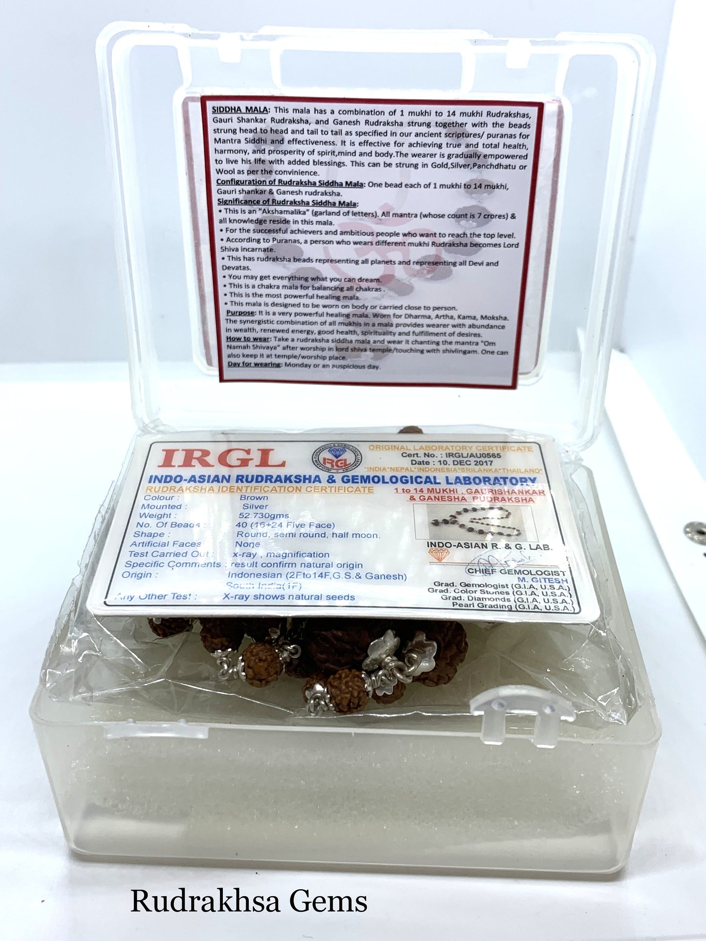1 to 14 Mukhi Rudraksha, Indonesian Beads Sidha Mala, Siddha Sidh Java Beads Certified, Rudraksh Mala Necklace, Genuine Beads in 925 SILVER,