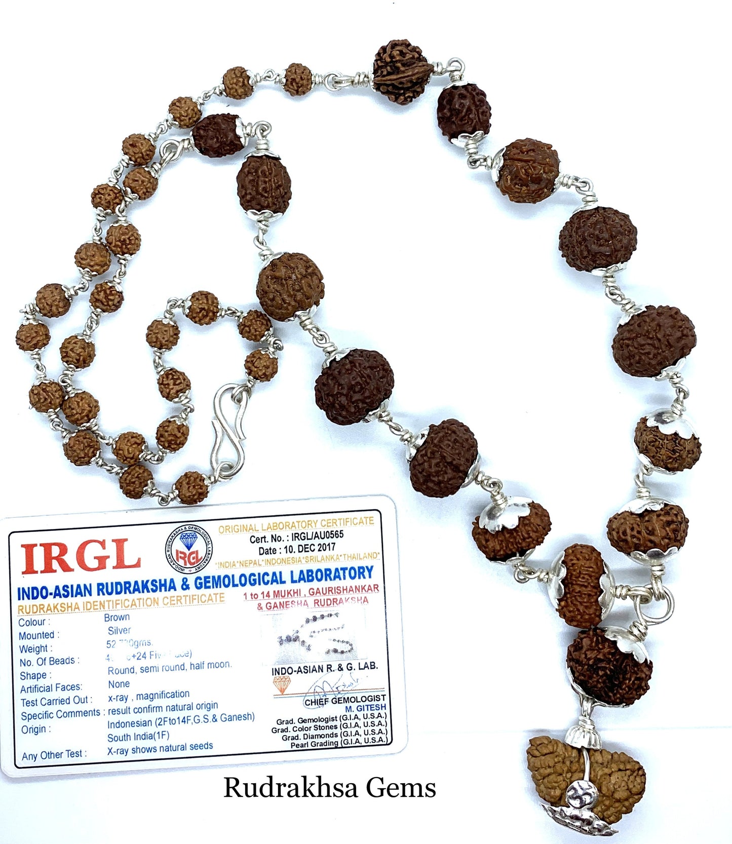 1 to 14 Mukhi Rudraksha, Indonesian Beads Sidha Mala, Siddha Sidh Java Beads Certified, Rudraksh Mala Necklace, Genuine Beads in 925 SILVER,