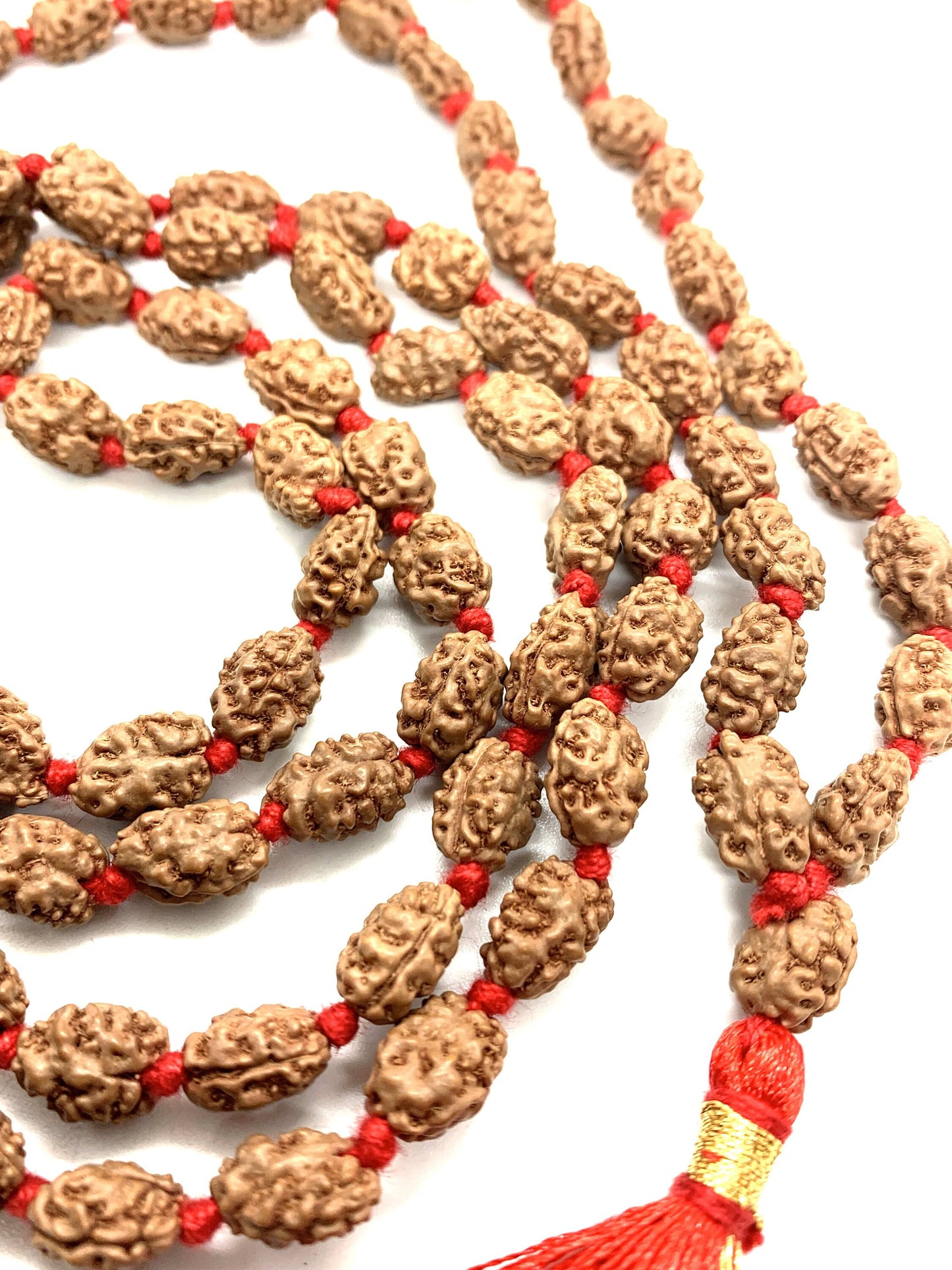 2 Mukhi Rudraksha Mala, 108+1 Genuine Rudraksha beads, Long Tassel Mala, Beautiful Mala, Natural beads, Rudraksh Mala, Japa Prayer beads