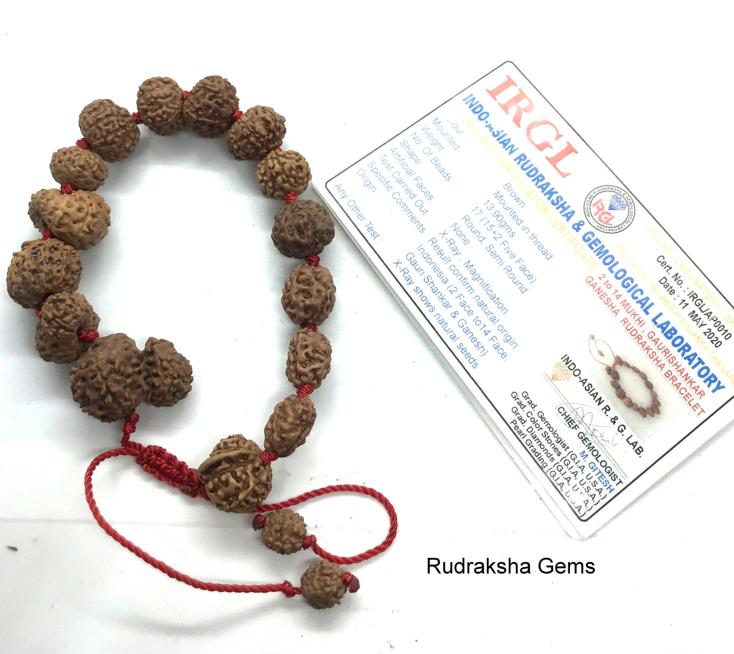2 to 14 Mukhi Rudraksha Gauri Shankar Ganesha Rudraksh BRACELET, Siddha Sidh Java Beads Certified, Rudraksh Bracelet, Genuine Beads Bracelet
