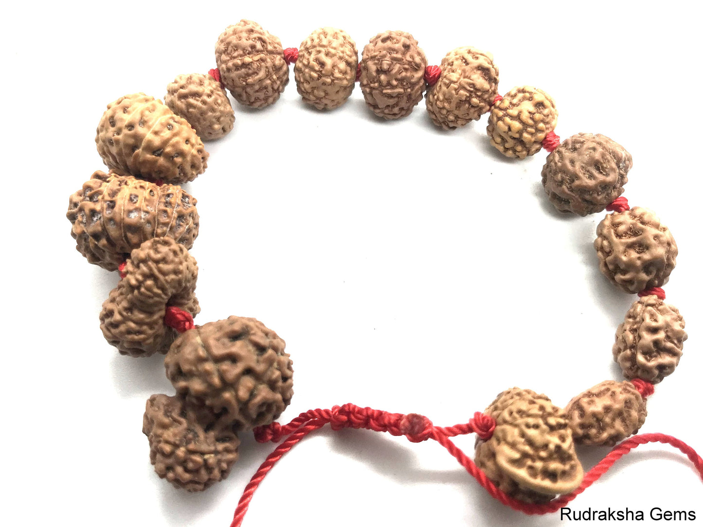 2 to 14 Mukhi Rudraksha Gauri Shankar Ganesha Rudraksh BRACELET, Siddha Sidh Java Beads Certified, Rudraksh Bracelet, Genuine Beads Bracelet