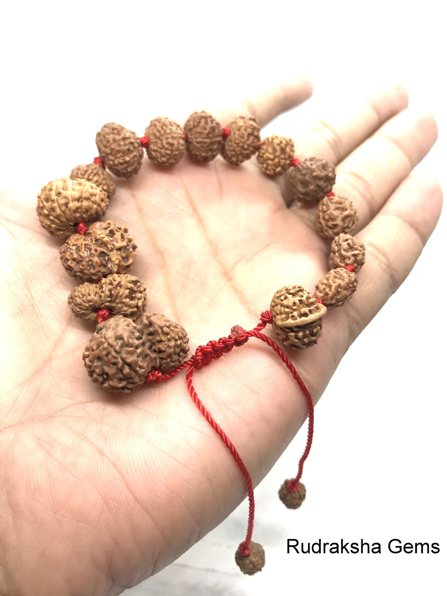 2 to 14 Mukhi Rudraksha Gauri Shankar Ganesha Rudraksh BRACELET, Siddha Sidh Java Beads Certified, Rudraksh Bracelet, Genuine Beads Bracelet
