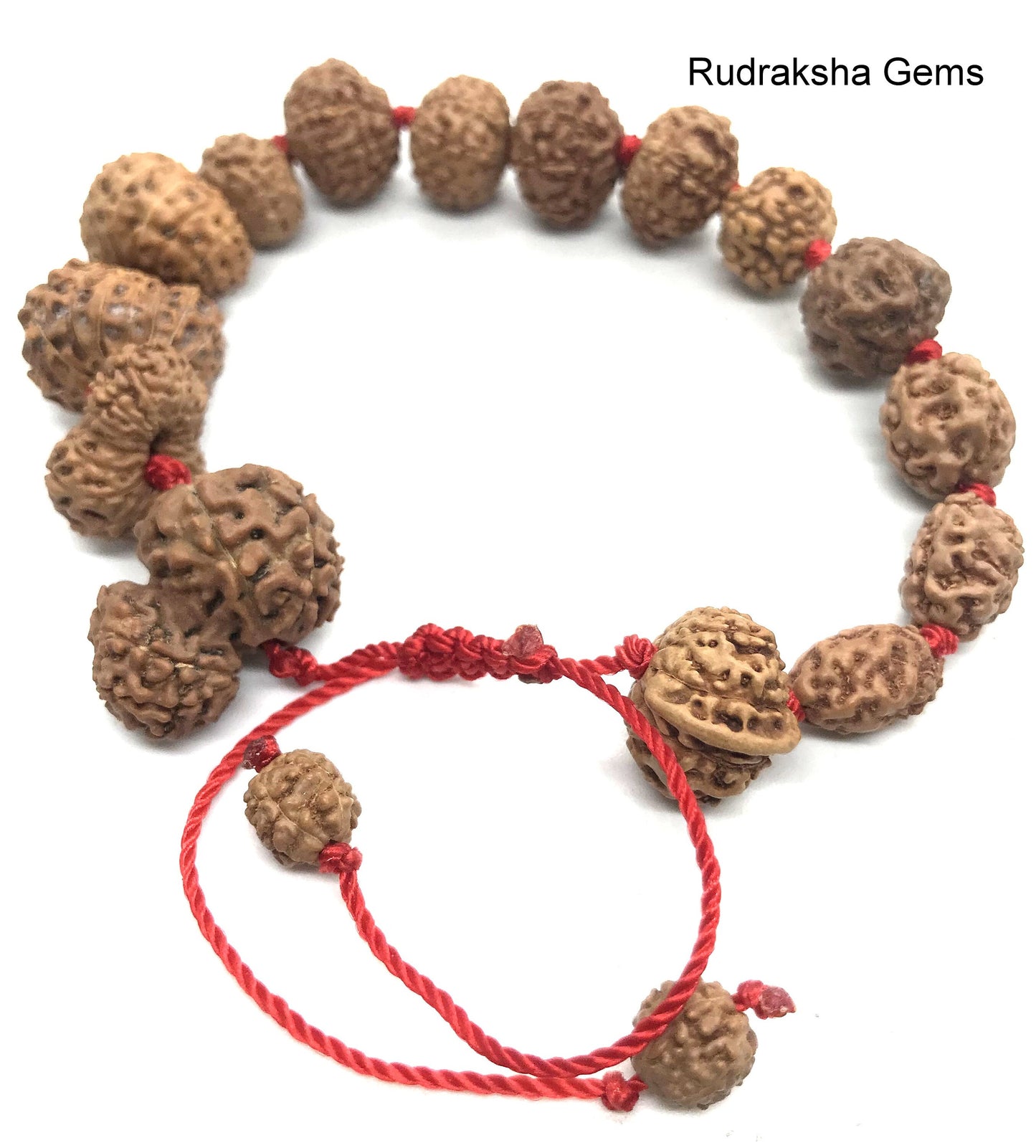 2 to 14 Mukhi Rudraksha Gauri Shankar Ganesha Rudraksh BRACELET, Siddha Sidh Java Beads Certified, Rudraksh Bracelet, Genuine Beads Bracelet