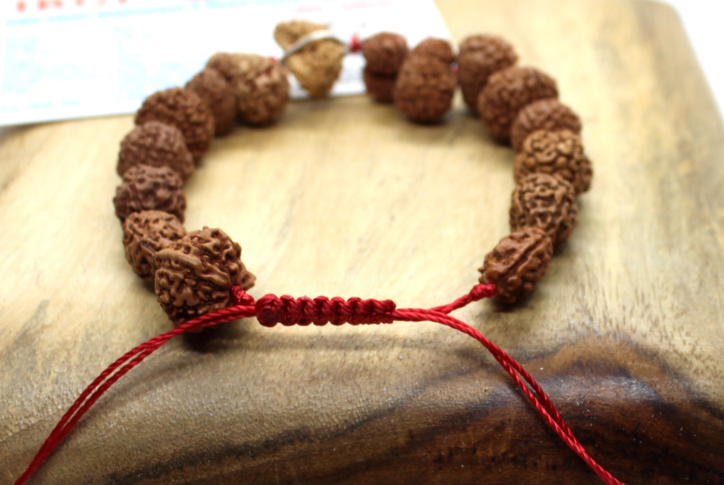 1 to 14 Mukhi Rudraksha Gauri Shankar Ganesha Rudraksh BRACELET, Siddha Sidh Java Beads Certified, Rudraksh Bracelet, Genuine Beads Bracelet