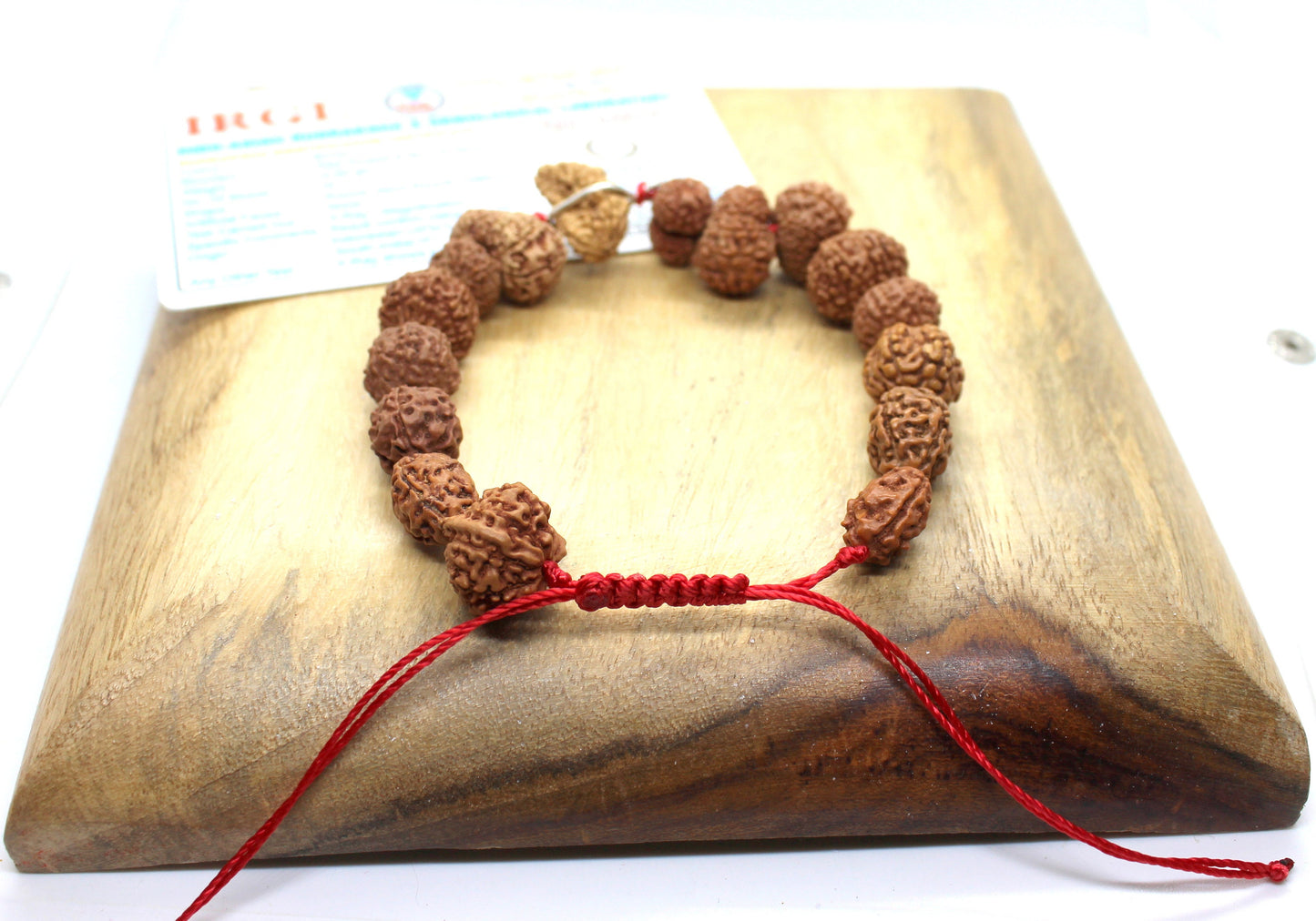 1 to 14 Mukhi Rudraksha Gauri Shankar Ganesha Rudraksh BRACELET, Siddha Sidh Java Beads Certified, Rudraksh Bracelet, Genuine Beads Bracelet