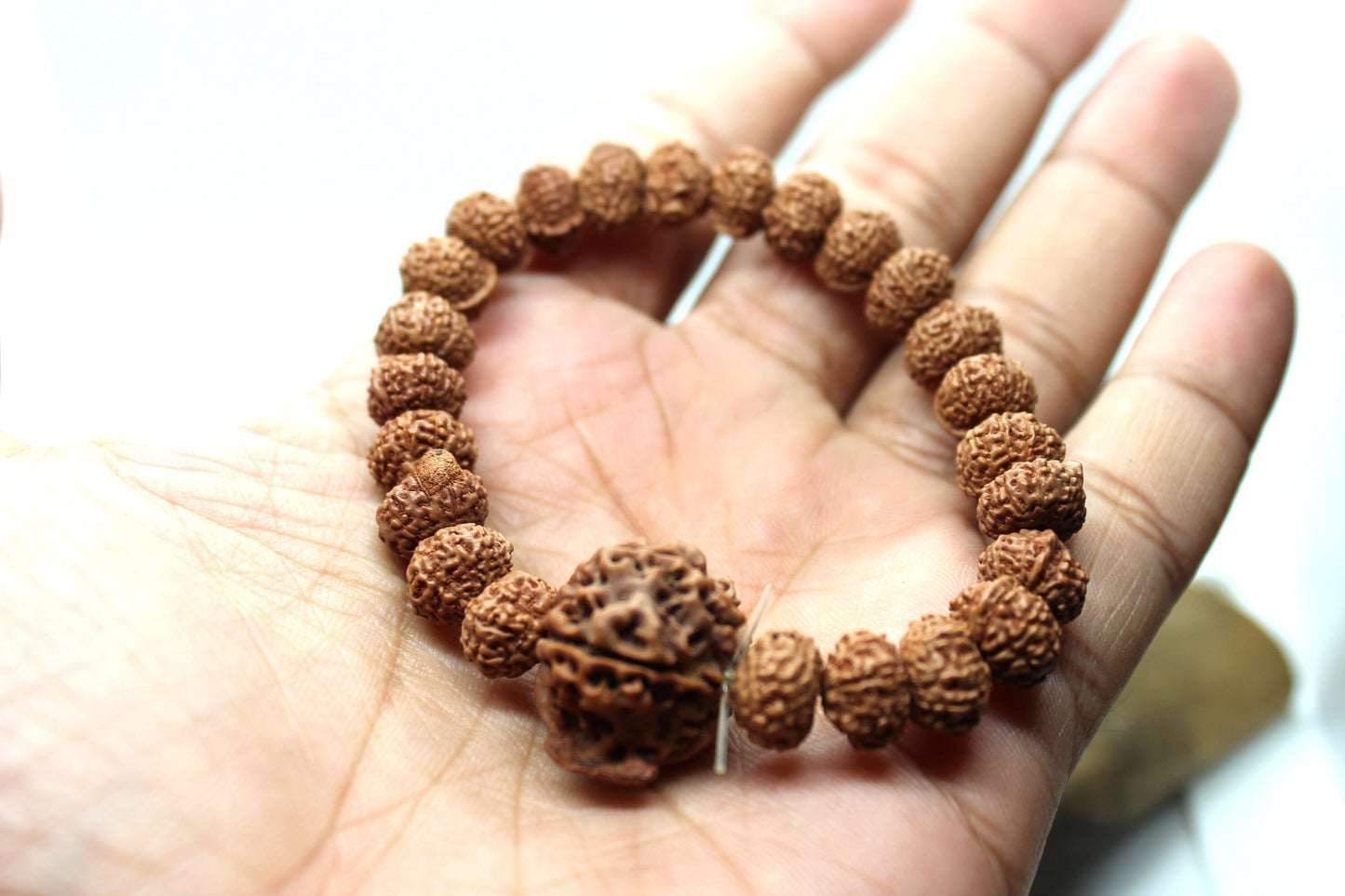 Ganesha Trunk Bead Rudraksha Elastic Bracelet, Ganesh Rudraksha Bracelet, Genuine Rudraksha Beads, Custom size, Ganesha Shiva Rudraksh