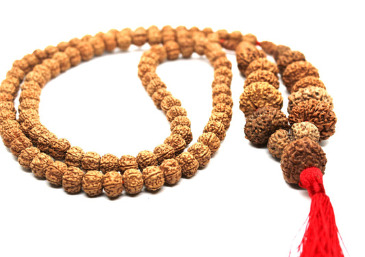 1 to 14 Mukhi Rudraksha, Collector Indonesian Beads Sidha Mala, Siddha Sidh Java Beads, Rudraksh Mala Necklace, Genuine Beads knotted mala