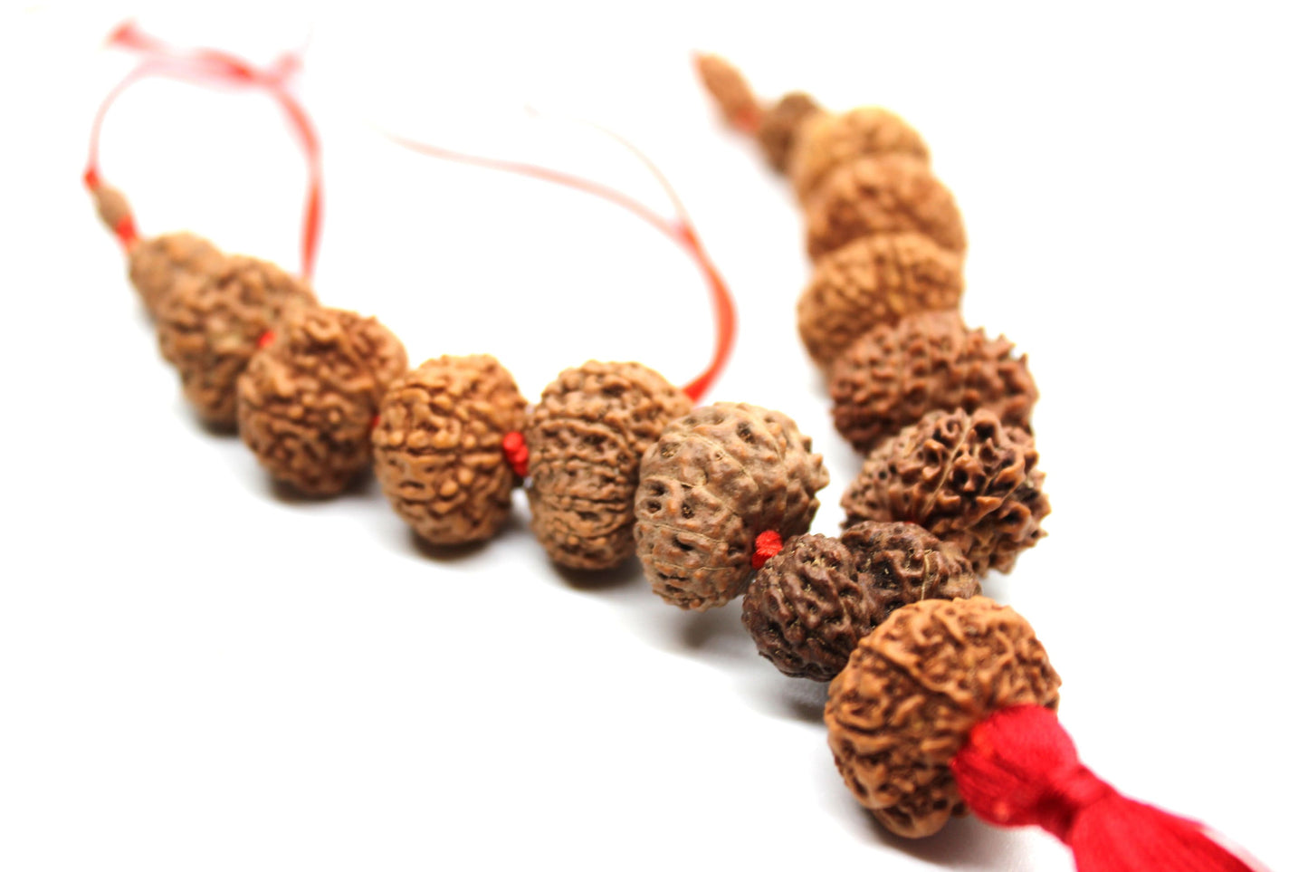 1 to 14 Mukhi Rudraksha, Indonesian Beads Sidha Mala, Siddha Sidh Java Beads, Rudraksh Mala Necklace, Genuine Beads knotted mala in red cord
