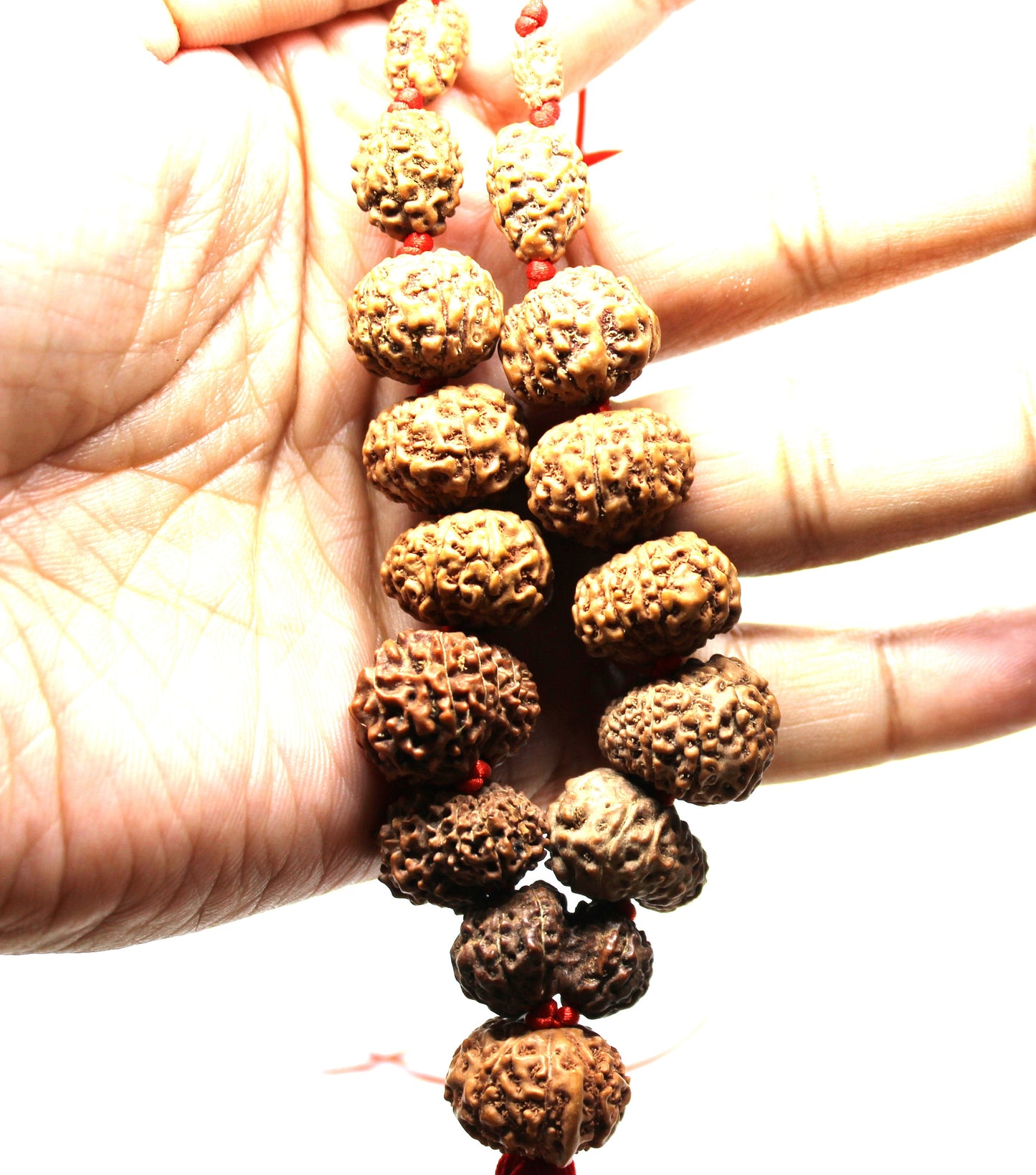 1 to 14 Mukhi Rudraksha, Indonesian Beads Sidha Mala, Siddha Sidh Java Beads, Rudraksh Mala Necklace, Genuine Beads knotted mala in red cord
