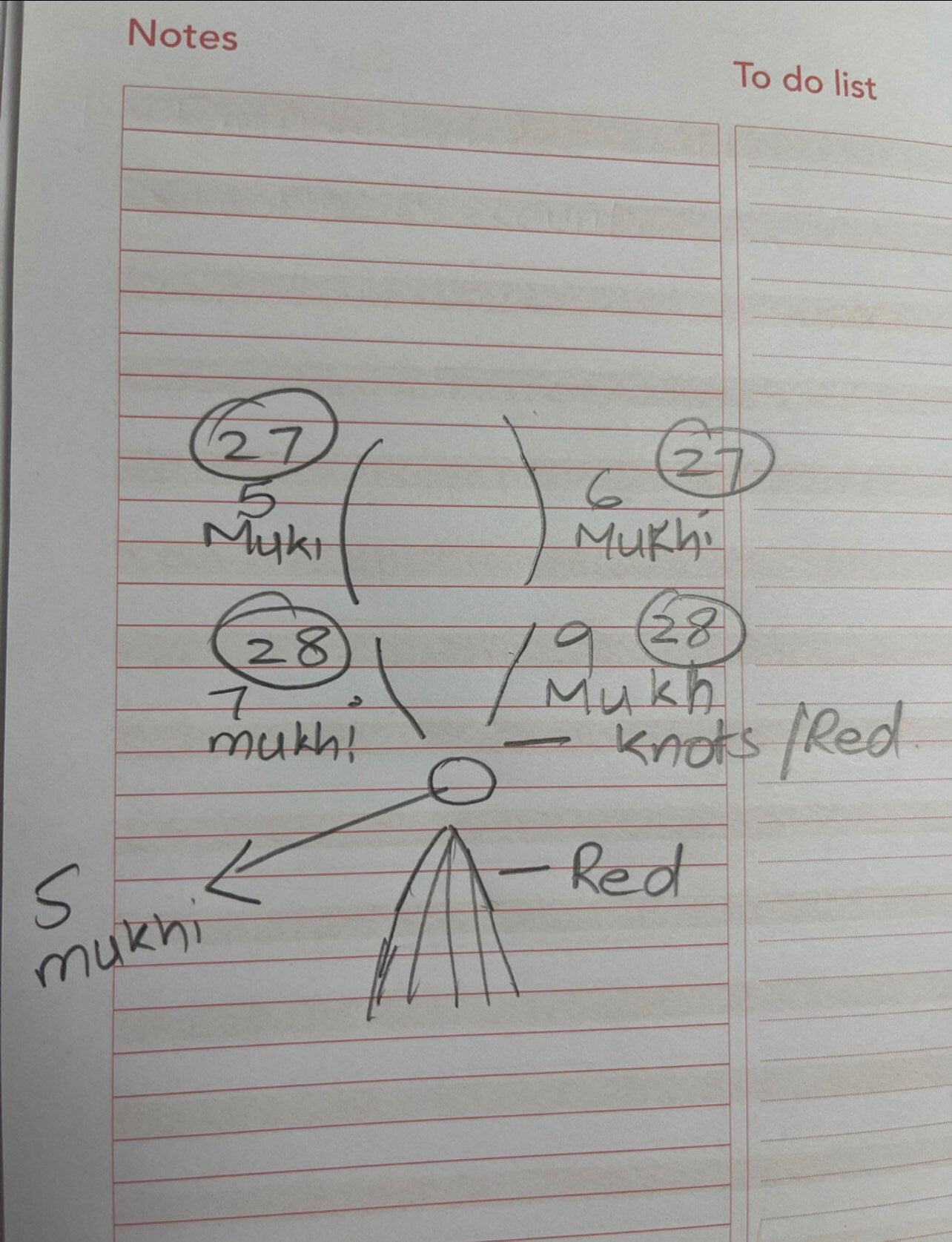 Custom Order for Navya