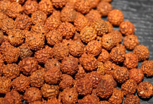 Rudraksha Beads - 8MM Natural Rudraksha Beads - Loose Rudraksh Beads - Meditation prayer beads - Yoga Jewellry Findings DIY Accessories