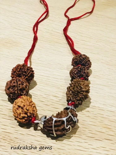 Rudraksh Rudraksha 1 2 3 4 5 6 7 Mukhi Beads Mala Necklace Wrist band bracelet -  Rudraksha Mala Neecklace - Genuine Beads in red cord OM