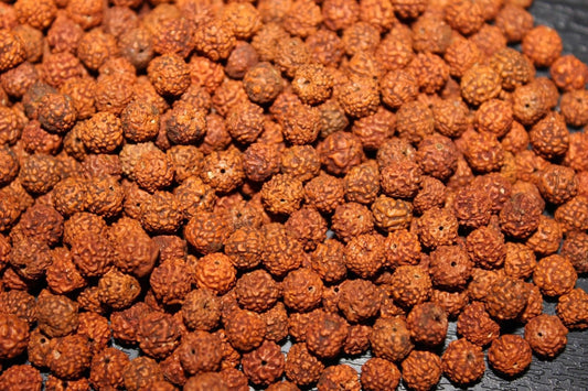 Rudraksha Beads - 6 MM Natural Rudraksha Beads - Loose Rudraksh Beads - Meditation prayer beads - Yoga Jewellry Findings DIY Accessories