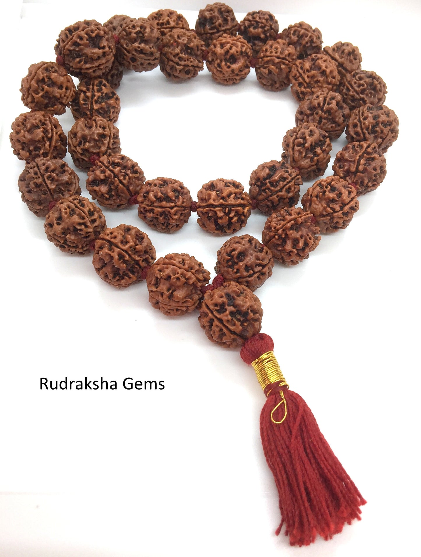 4 FOUR Mukhi Rudraksha Mala Brahma Kantha Siddha Mala 33+1 Collector Nepalese Beads - 4 Face Rudraksha Mala - Premium Rare  Rudraksha Beads