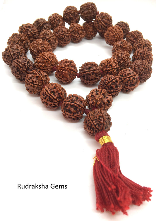 6 Six  Mukhi Ruraksha Collector Mala- Collector 32 +1 Rudraksha Beads - Hand knotted Mala Kantha - Premium Rudraksha Mala - 6 Face Rudraksh