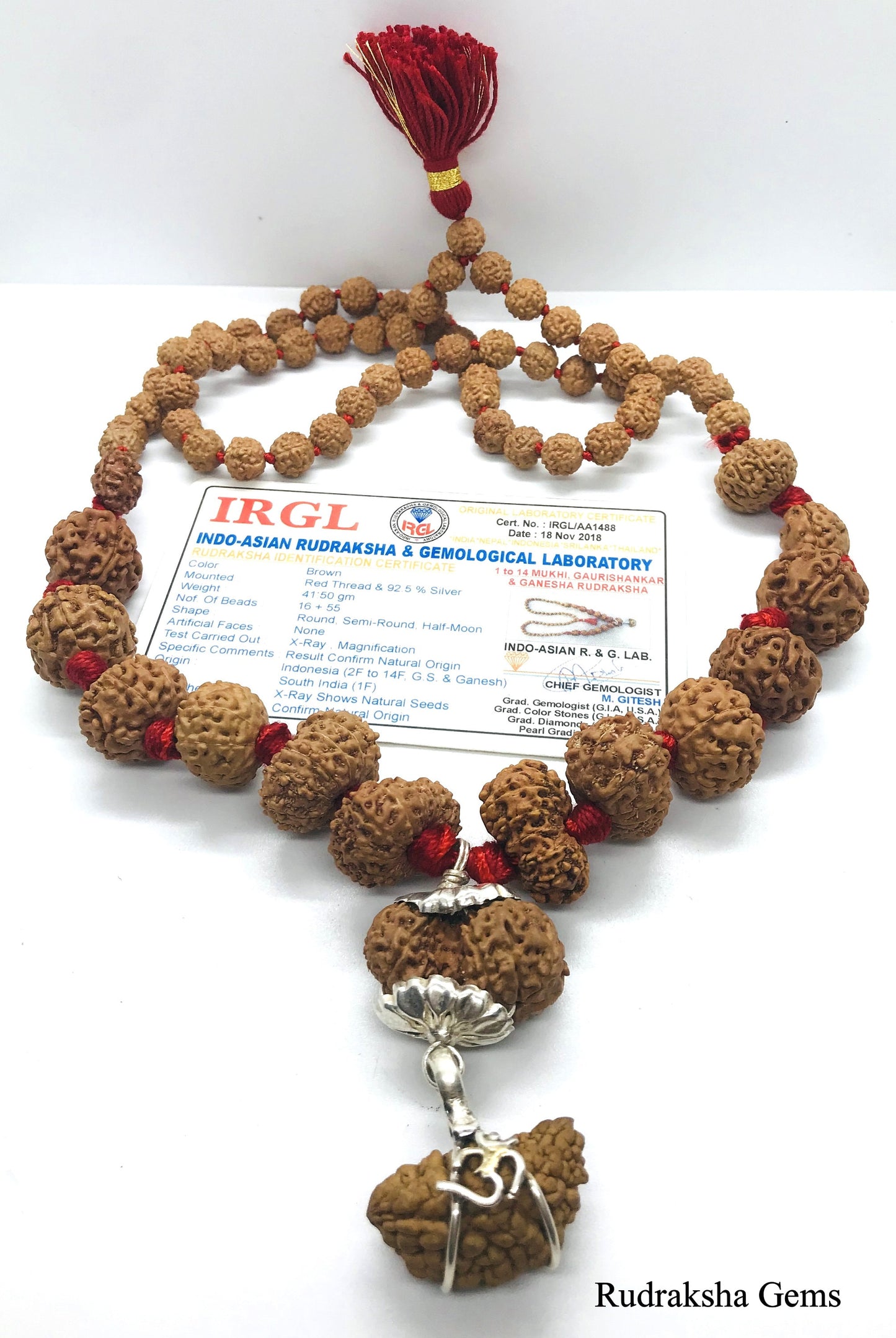 1 to 14 Mukhi Rudraksha, Indonesian Beads Sidha Mala, Siddha Sidh Java Beads Certified, Rudraksh Mala Necklace, Genuine Beads knotted mala