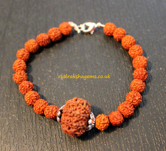 7 mukhi Rudraksha Bracelet, 7 face Rudraksha Bracelet, Genuine Rudraksha Beads, Custom size available, Seven Face Shiva Rudraksh, Spiritual