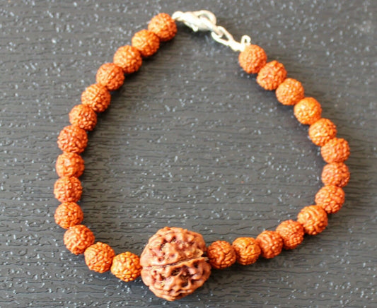 6 mukhi Rudraksha Bracelet, 6 face Rudraksha Bracelet, Genuine Rudraksha Beads, Custom size available, Six Face Shiva Rudraksh, Spiritual