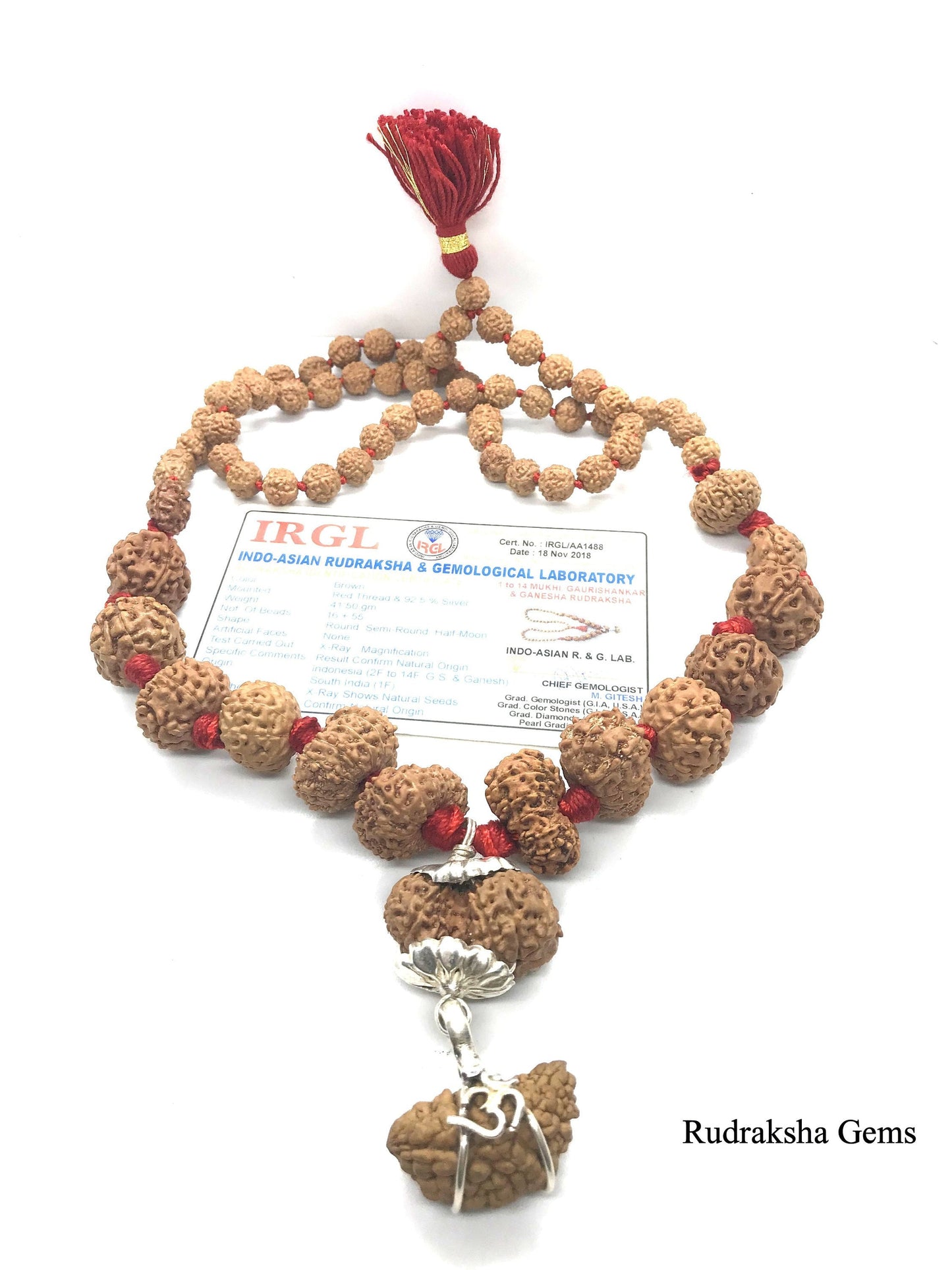 1 to 14 Mukhi Rudraksha, Indonesian Beads Sidha Mala, Siddha Sidh Java Beads Certified, Rudraksh Mala Necklace, Genuine Beads knotted mala