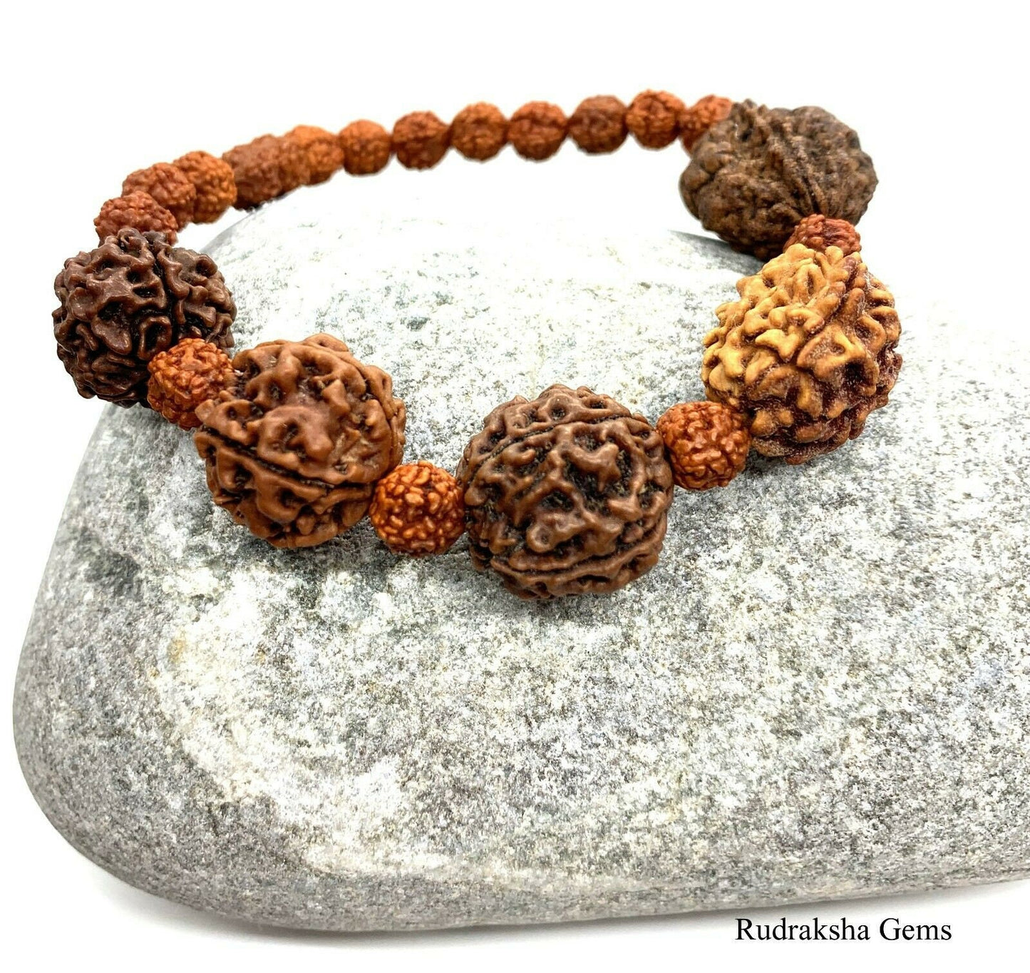 Rudraksh Rudraksha 2 3 4 5 6 Mukhi Beads Mala Wrist band bracelet -  Rudraksha Bracelet - Genuine Beads -Custom Rudraksha Guru bead bracelet