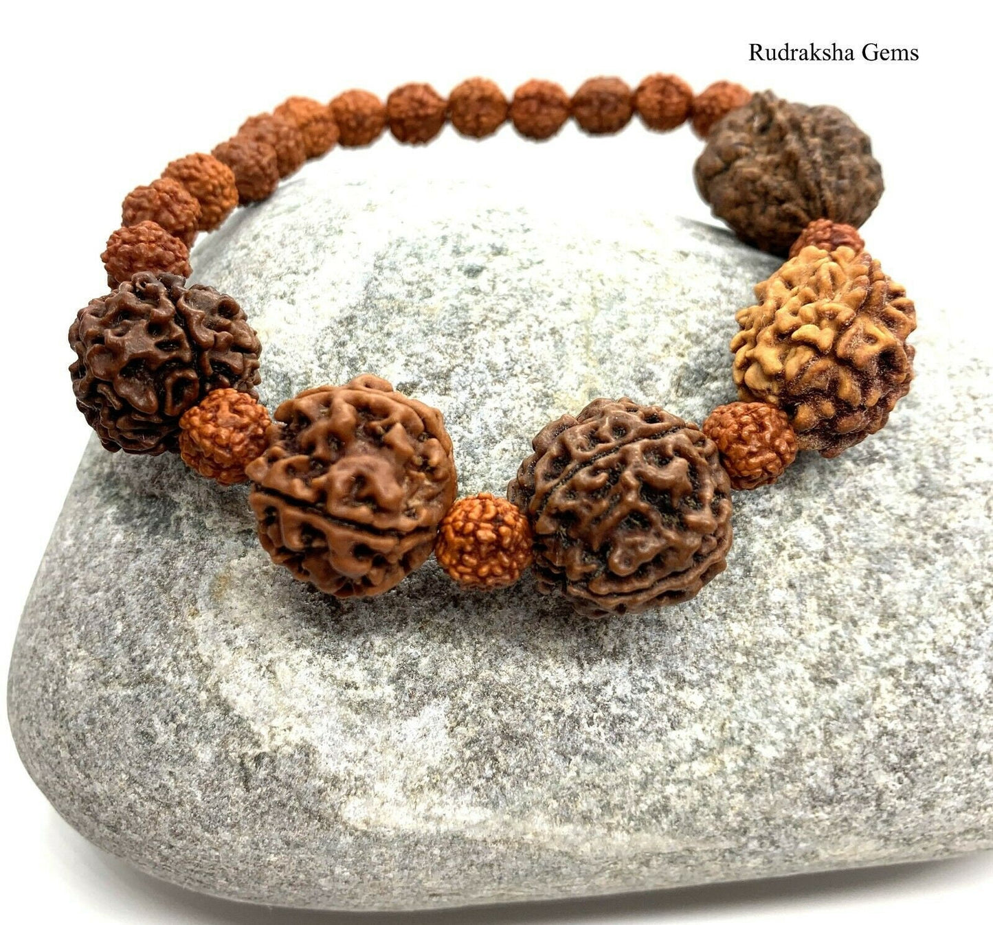 Rudraksh Rudraksha 2 3 4 5 6 Mukhi Beads Mala Wrist band bracelet -  Rudraksha Bracelet - Genuine Beads -Custom Rudraksha Guru bead bracelet