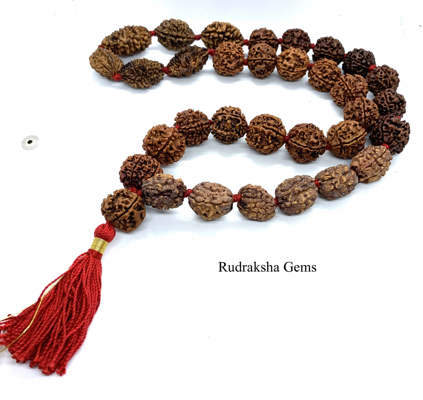 Rudraksh Rudraksha  2 3 4 5 6 Mukhi 32 + 1 Beads Mala Necklace -  Rudraksha Mala Neecklace - Genuine Beads  - Premium Thick Long Tassel Mala