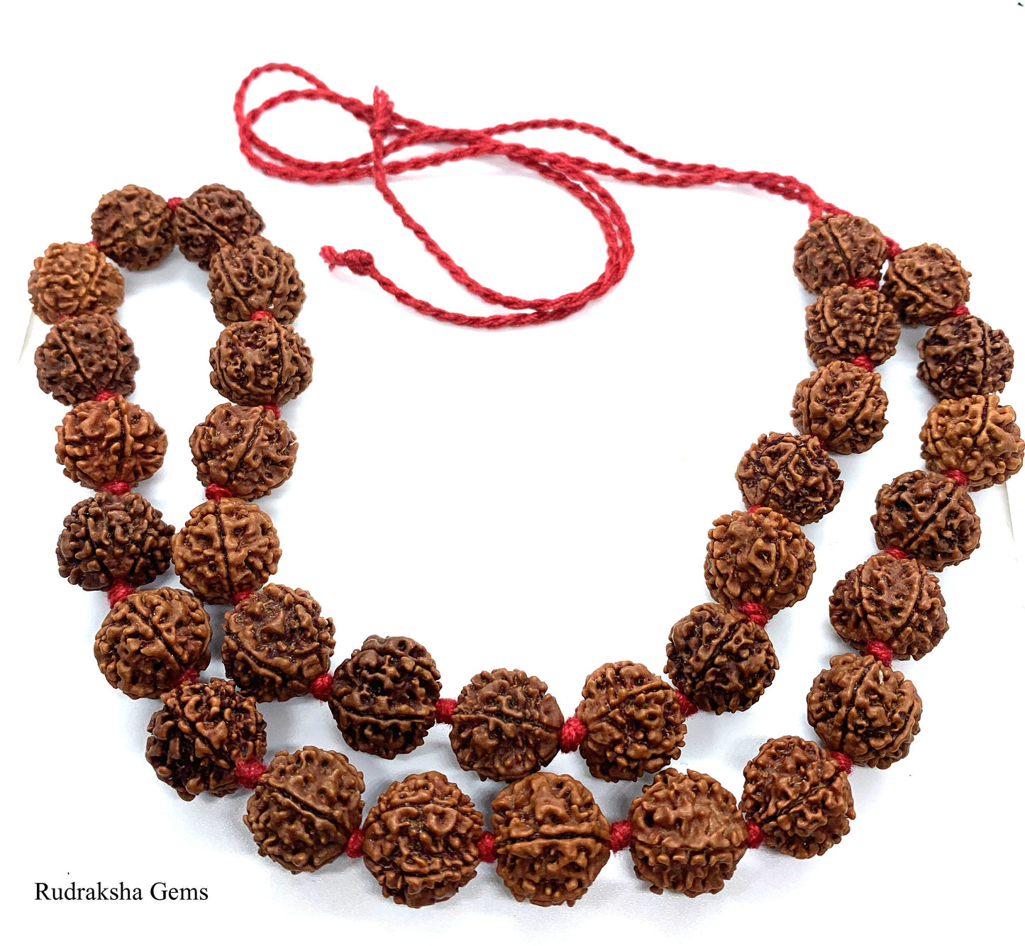5 Facet Five Mukhi Rudraksha Necklace - 33 Collector Nepalese beads knotted adjustable open ends - Rudraksha Mala OM Meditation Shiva Rosary