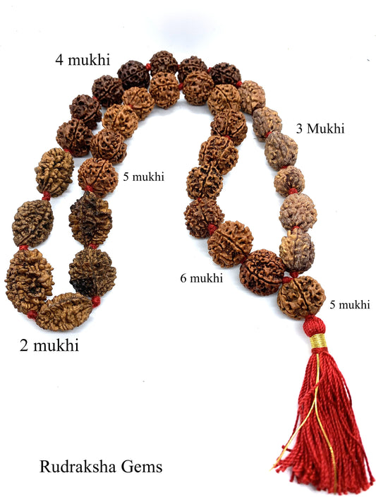 Rudraksh Rudraksha  2 3 4 5 6 Mukhi 32 + 1 Beads Mala Necklace -  Rudraksha Mala Neecklace - Genuine Beads  - Premium Thick Long Tassel Mala