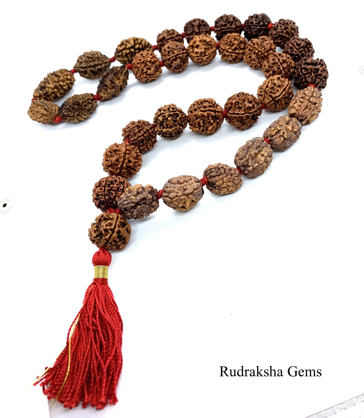 Rudraksh Rudraksha  2 3 4 5 6 Mukhi 32 + 1 Beads Mala Necklace -  Rudraksha Mala Neecklace - Genuine Beads  - Premium Thick Long Tassel Mala