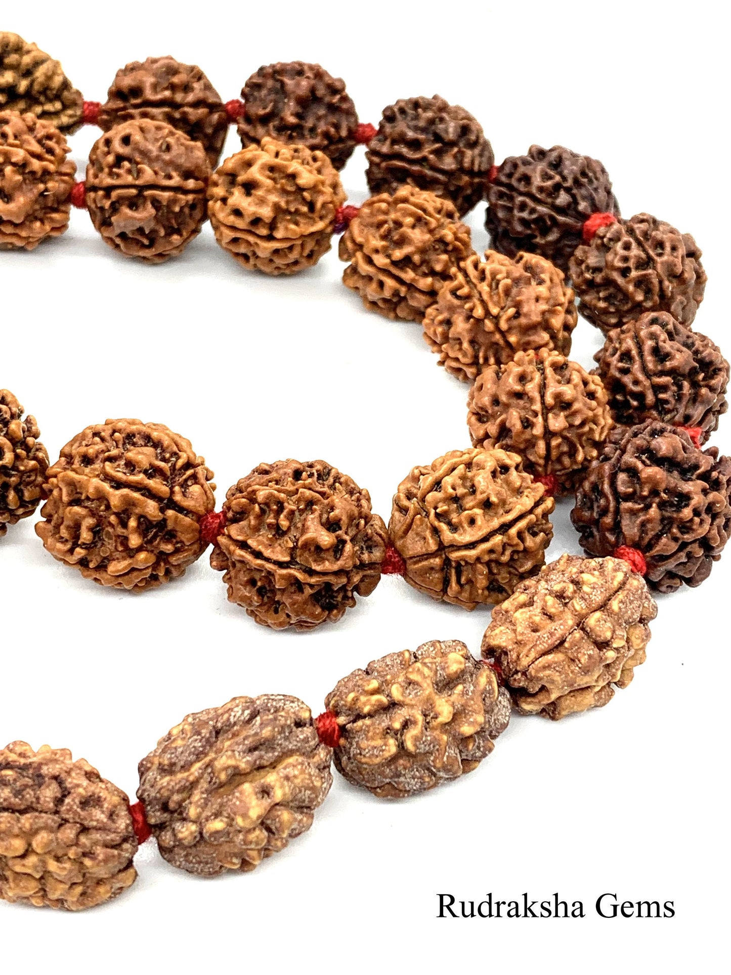 Rudraksh Rudraksha  2 3 4 5 6 Mukhi 32 + 1 Beads Mala Necklace -  Rudraksha Mala Neecklace - Genuine Beads  - Premium Thick Long Tassel Mala