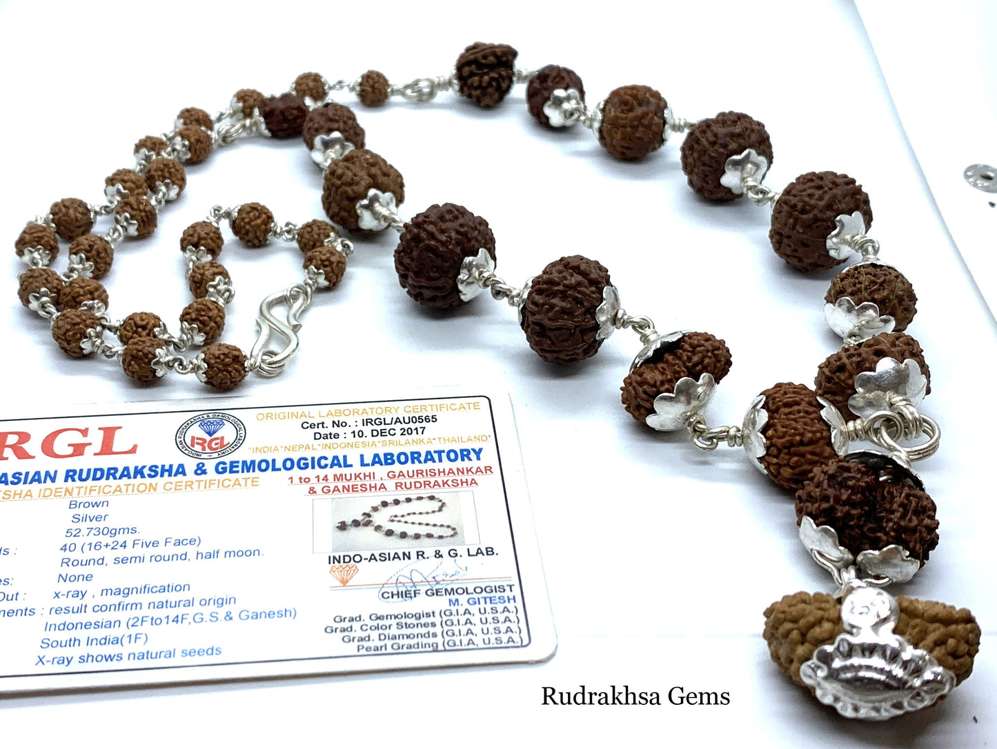 1 to 14 Mukhi Rudraksha, Indonesian Beads Sidha Mala, Siddha Sidh Java Beads Certified, Rudraksh Mala Necklace, Genuine Beads in 925 SILVER,