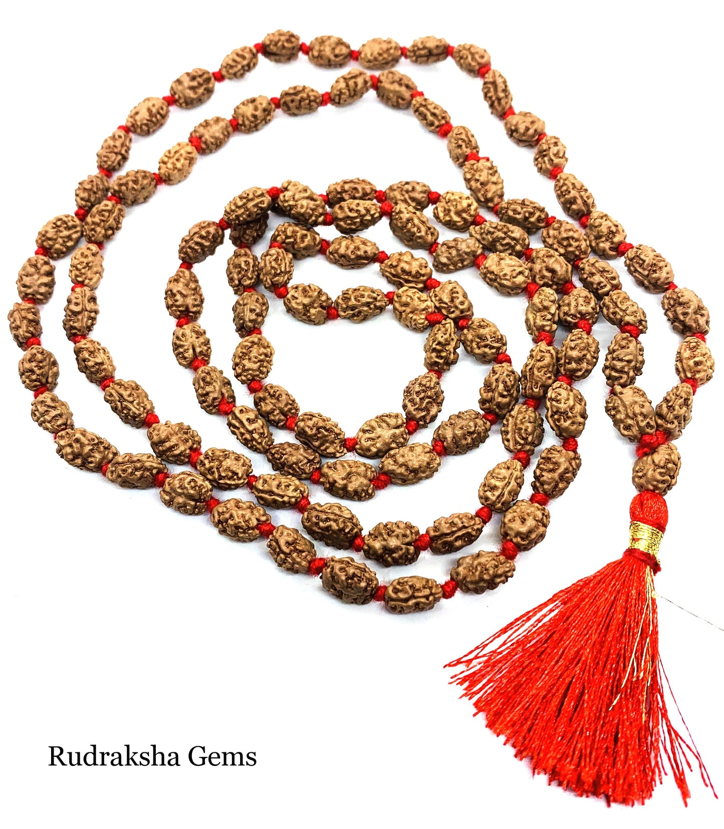 2 Mukhi Rudraksha Mala, 108+1 Genuine Rudraksha beads, Long Tassel Mala, Beautiful Mala, Natural beads, Rudraksh Mala, Japa Prayer beads