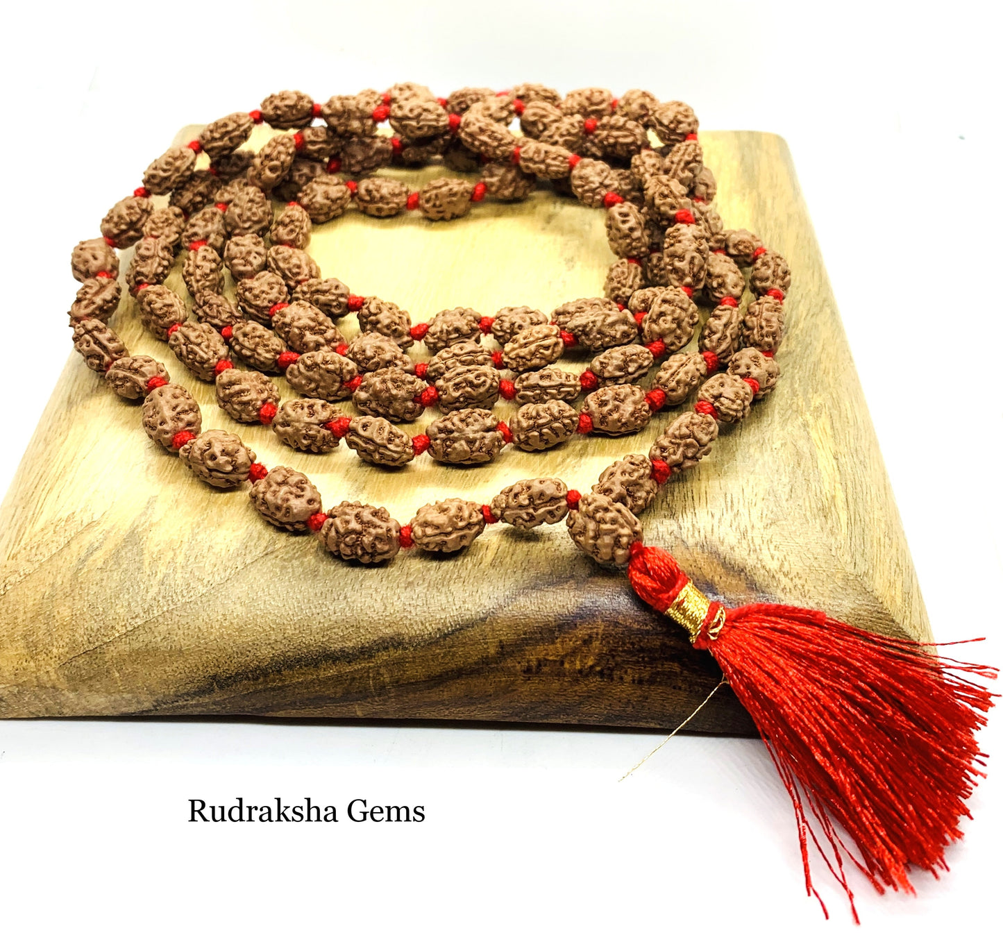 2 Mukhi Rudraksha Mala, 108+1 Genuine Rudraksha beads, Long Tassel Mala, Beautiful Mala, Natural beads, Rudraksh Mala, Japa Prayer beads