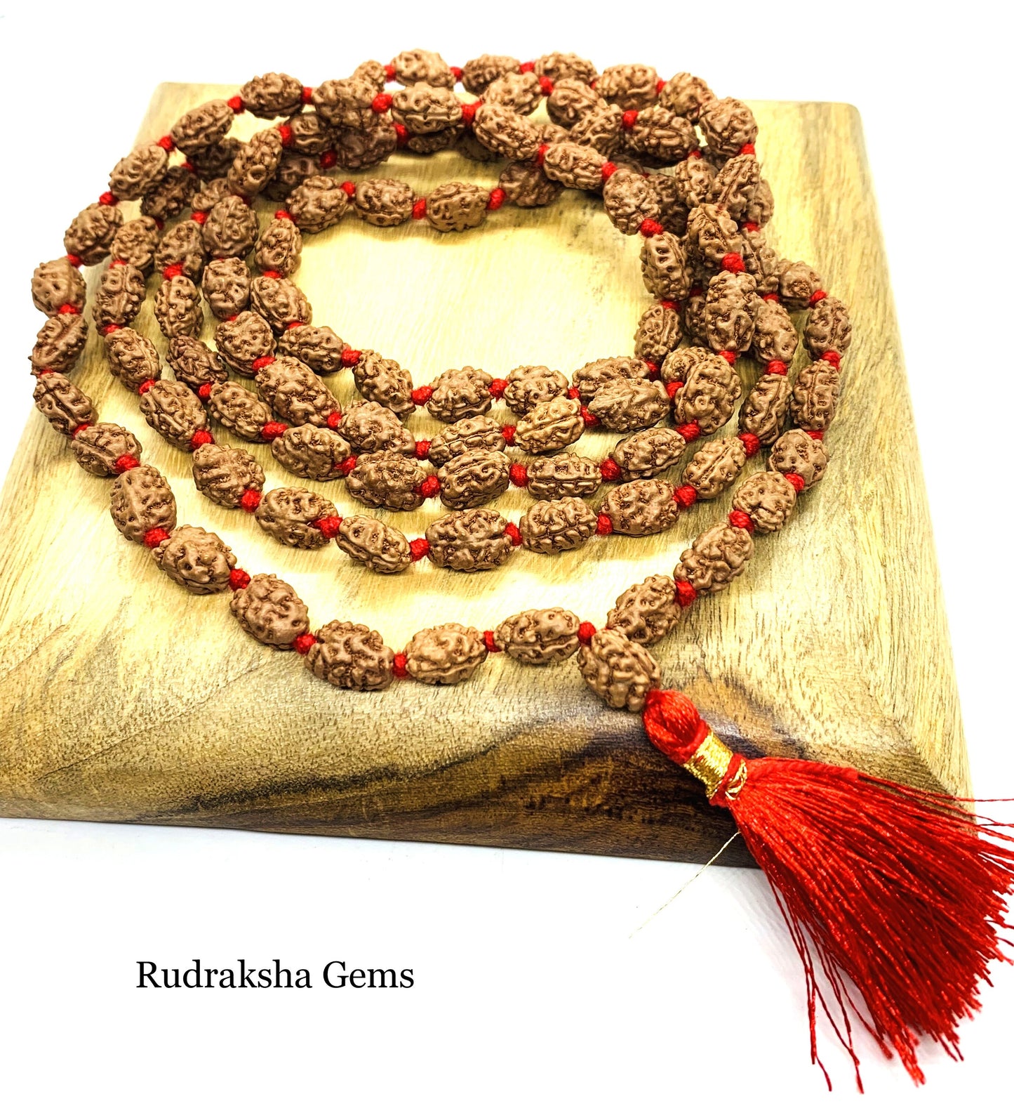 2 Mukhi Rudraksha Mala, 108+1 Genuine Rudraksha beads, Long Tassel Mala, Beautiful Mala, Natural beads, Rudraksh Mala, Japa Prayer beads